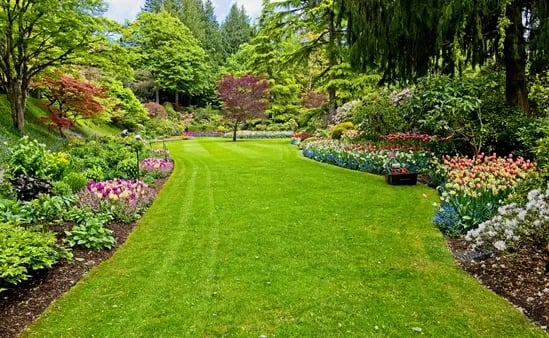 Landscaping